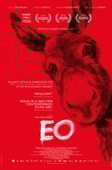 Poster for Jerzy Skolimowski's 'EO' screening hosted by Auckland International Film Club.