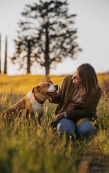 donna-che-accarezza-i-cani-al-tramonto