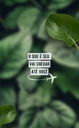 RENDENDO MAIS 