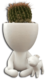 Pot de fleur amusant