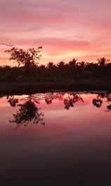 Peaceful sunset reflections on a pond near Saigon Garden Homestay.
