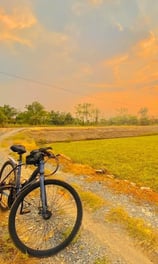 Bicycle path through morning glory fields at sunrise near Saigon Garden Homestay.