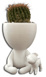 Pots de fleur décoratifs