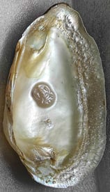 "Artistic divine face pearl–approx 11mm white,using nucleus technique-Export-oriented"