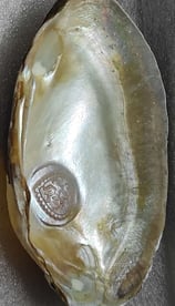 "11mm white cultured pearl with elegant heart design–with nucleus technique-for worldwide trade"