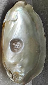 "Divine face motif cultured pearl, approx 11mm white,using nucleus implantation-Meant for export"