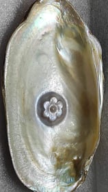 "Approx 10mm white flower-shaped designer cultured pearl–handcrafted using nucleus implantation-Prepared for export"