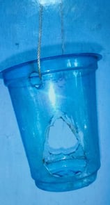 "Innovative method to keep oysters stable underwater for pearl culture–enhanced suspension system for better growth"