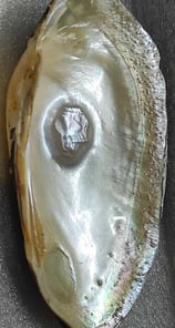 "11mm white pearl with divine carving–side angle showing surface texture-for global markets"