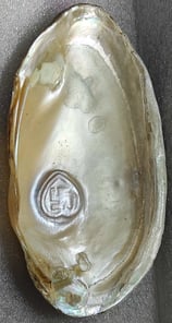 "Side view of 11mm white heart-shaped designer cultured pearl-nucleus-grown form-for worldwide trade".