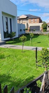 Landscaping, Lawn mowing, edging & all Gardening maintenance services