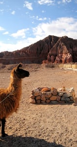 Cafayate