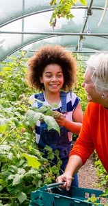 A grandmother and a young girl in the greenhouse