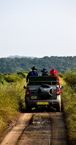 a road journey on Kamleshwar Dam in Gir National park