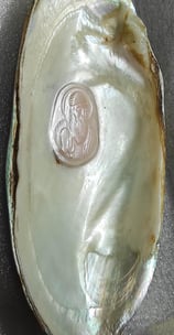 "Angled view of 11mm pearl–white glossy finish, nucleus cultured-for overseas markets"