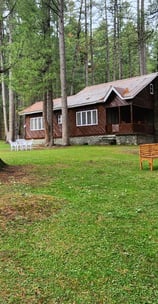 a Suit Rooms in the woods in Jungle