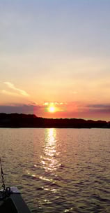 Stompaardseplas Bernisse