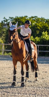 equitazione salto ostacoli