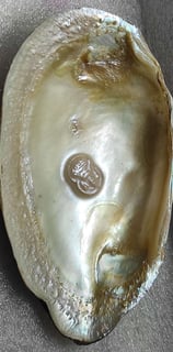 "Divine face designer pearl–11mm cultured pearl with glossy finish-Export-ready"