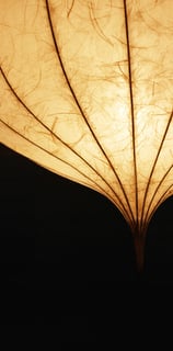 LEPTUSA Lampenschirm aus Papier mediterane Lampe organische Deckenlampe groß