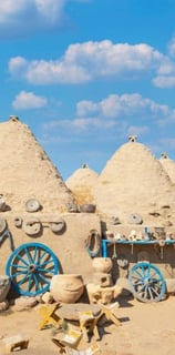 Harran Turu 