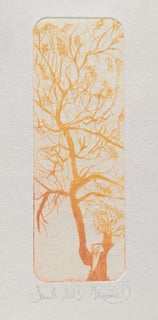 Saule Tetrapak gravure