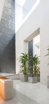 Natural light-filled lobby in Mallorca fertility clinic