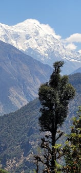 Himalayas, Gosaikunda, Langtang, trekking in nepal, living in nepal, Nepal, Langtang Valley, trek