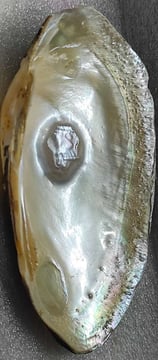 "11mm white pearl with divine carving–side angle showing surface texture-for global markets"