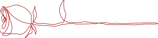 Allure Dance Studios rose outline red
