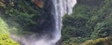 Elgin Falls