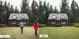 Lawn Replacement