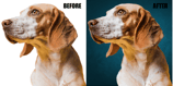 background-enhancement