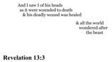 Revelation 13:3 You should see