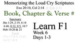 Learn F1 (Days 1-3)