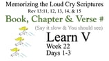 Learn V (Days 1-3)
