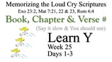 Learn Y (Days 1-3)