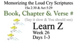 Learn Z (Days 1-3)