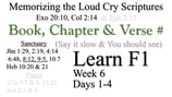 Learn F1 (Days 1-4)