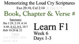 Learn F1 (Days 1-3)