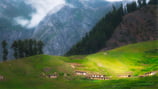 a mountain scene with a train passing by a mountain