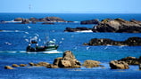 Bateau de pêche qui rentre à Brignogan