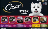 wet dog food steak flavor