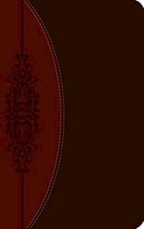  CEB Wesley Study Bible,