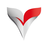 Vizion logo