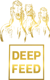 Deep Feed logo