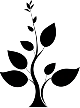 dokandi logo