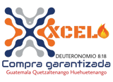 XCEL logo
