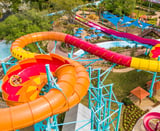 Adventure Island Tampa