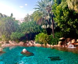 Discovery Cove